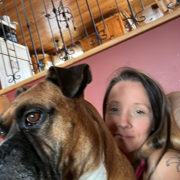 Meet your Posher, Molly - Picture 6 of 16